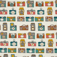 Vintage Cameras Bunny