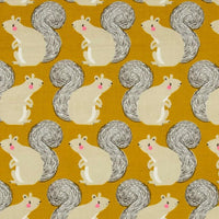 Squirrels