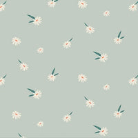 Daisy